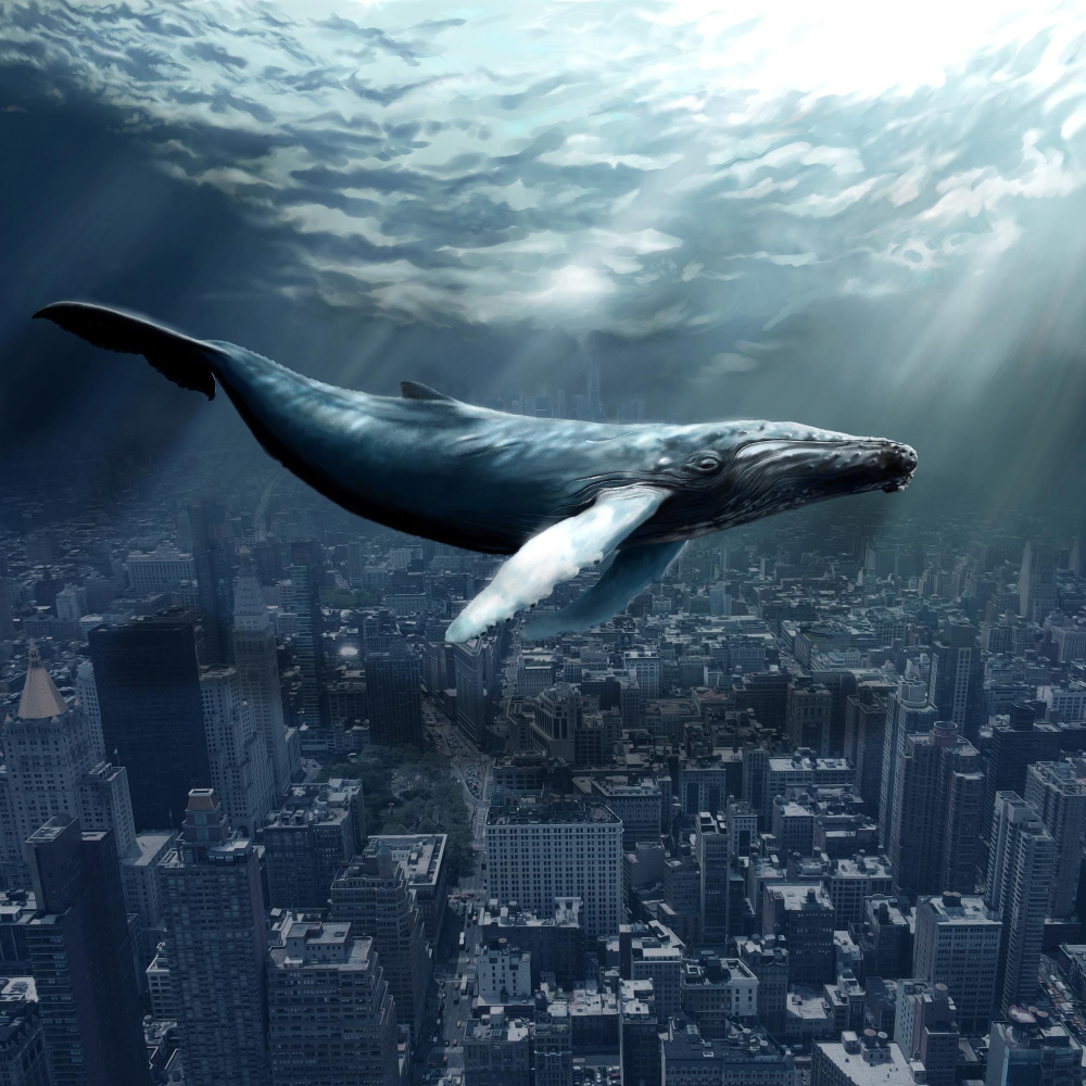 Understanding The Basics of Investing Rounds